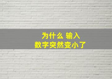 为什么 输入数字突然变小了